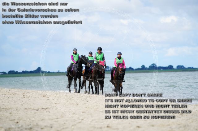 s_K3F05139.JPG